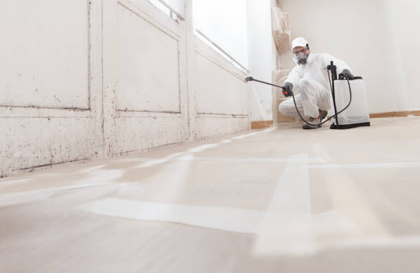 24/7 Emergency Mold Cleanup experts in Maynard, MA