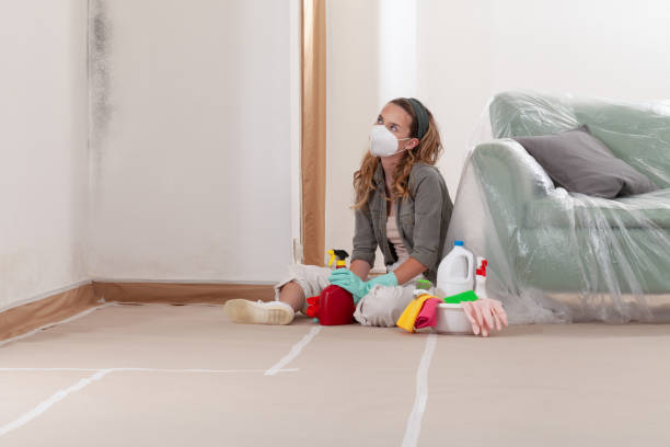 Reliable Mold Cleanup contractor in Maynard, MA by WQB Mold Removal